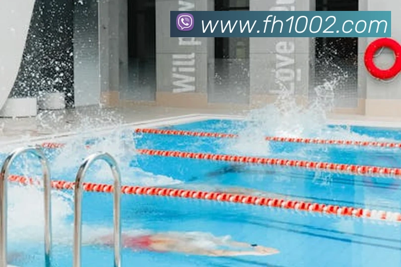 凤凰彩票平台生态图